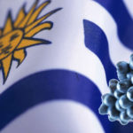 uruguay, vinos