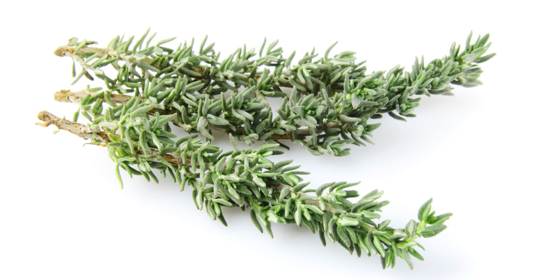 tomillo, mejunje, solmita gaspard, vitrina en construccion