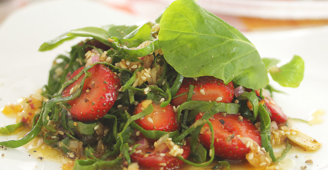 cocina vegetariana, naturlandia