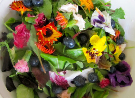 flores comestibles, colombia