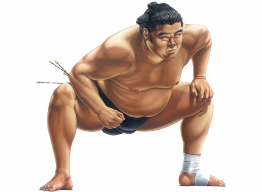 sumo