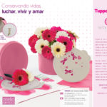 tupperware, senosalud