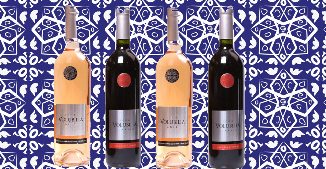vinos de marruecos