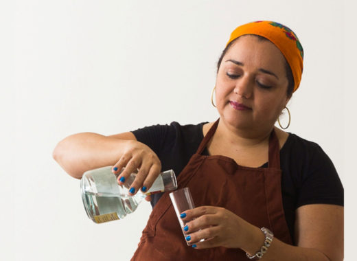 vanessa rolfini, libro el cocuy