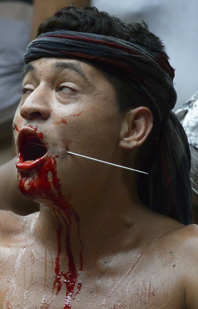 sorte6