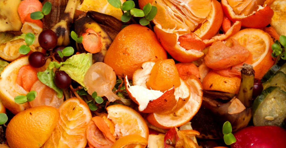 día mundial de la alimentacion