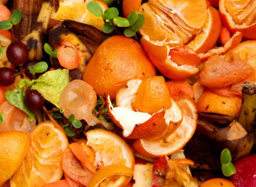 día mundial de la alimentacion