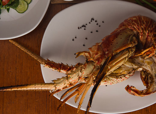 langosta, temporada, restaurantes