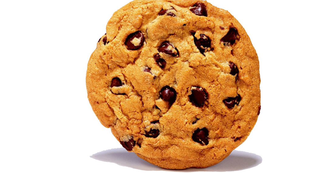 curso, galletas, galleteria, naturlandia