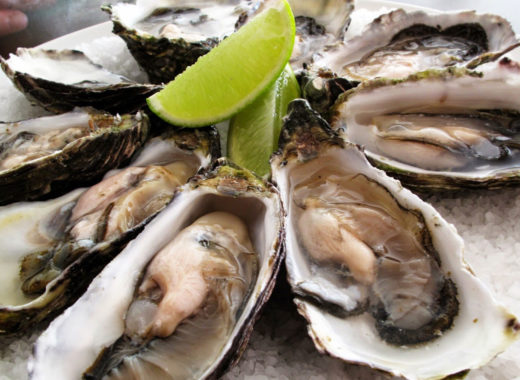 ostras, caius apicius alimentos afrodisíacos