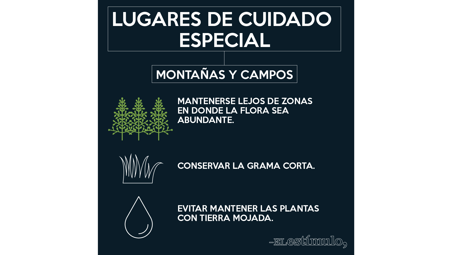 EDIT ZIKA 1920X1080-12