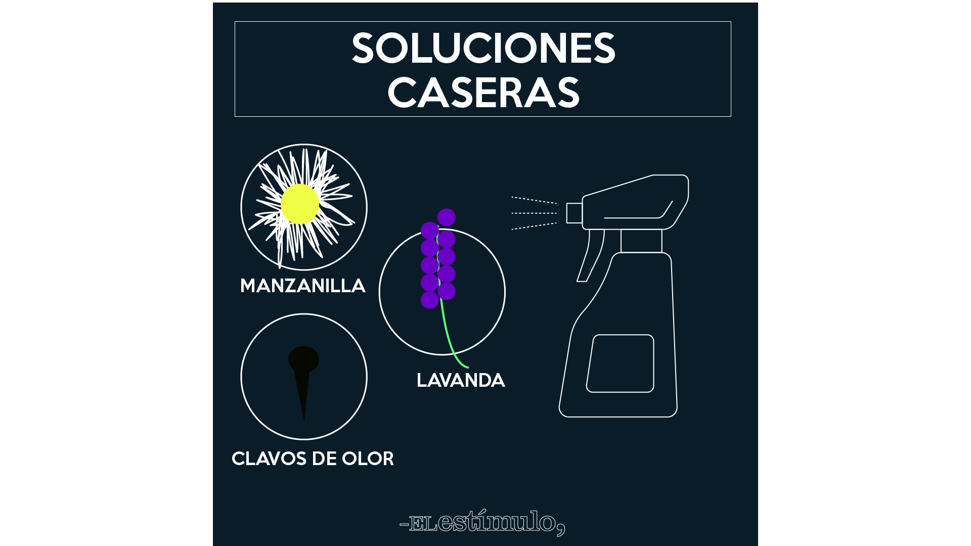 EDIT ZIKA 1920X1080-14