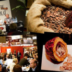 festival sens & chocolat
