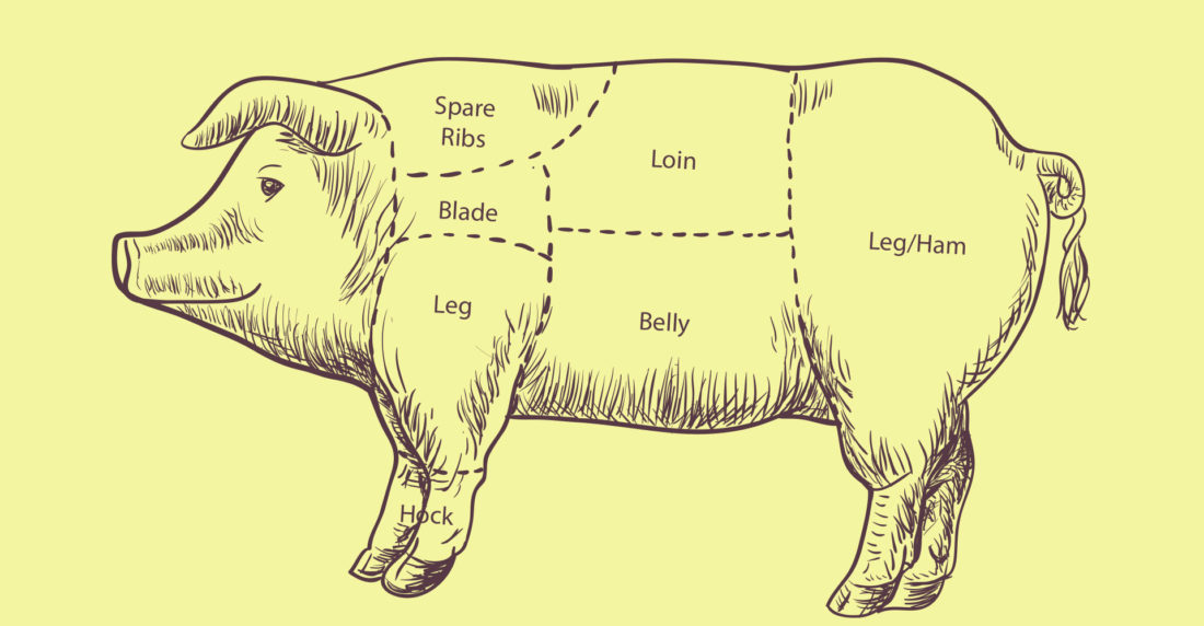 cochino, cerdo, puerco