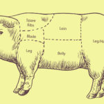 cochino, cerdo, puerco