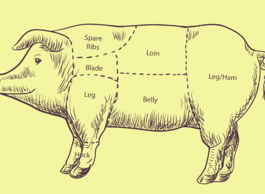 cochino, cerdo, puerco