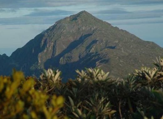 PICO NAIGUATA