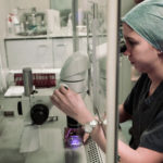 fertilizacion in vitro