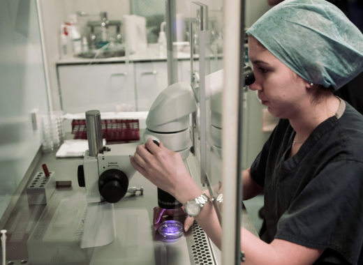 fertilizacion in vitro