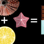 chocolate, rusia, algas, erizo, estrella de mar, limón, juventud