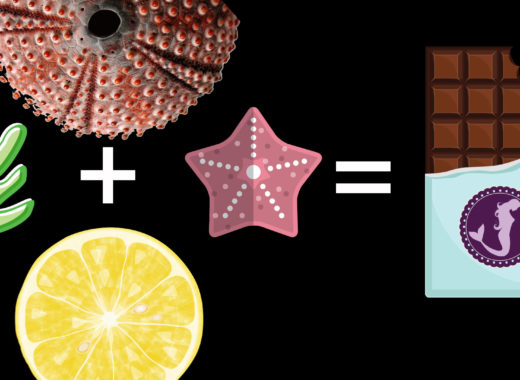 chocolate, rusia, algas, erizo, estrella de mar, limón, juventud