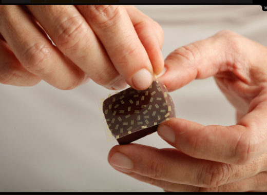 taller de bombones kakao, maria fernanda di giacobbe