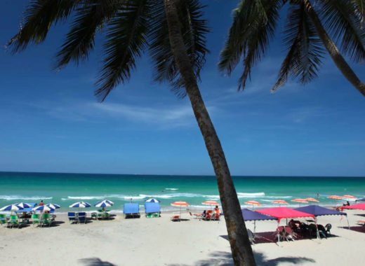 servicios turísticos