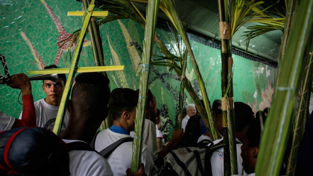 Palmeros de Chacao