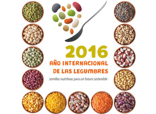 automercados plazas, día mundial de las legumbres, bienmesabe
