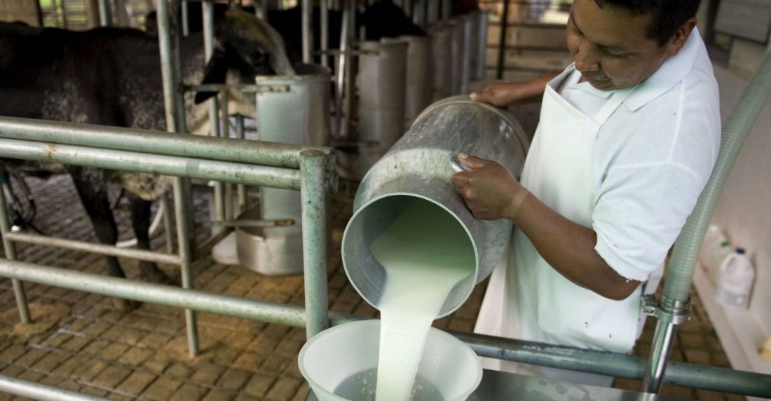 Leche Venezuela