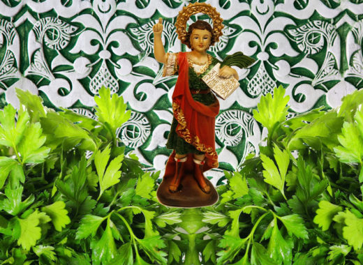 perejil, perifollo, san pancracio, caius apicius, ligia velasquez