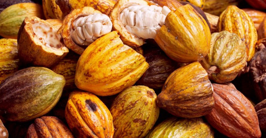 cacao-bienmesabe