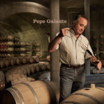 jose pepe galante, en{ologo, bodegas salentein