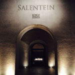 bodegas salentein, valle
