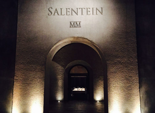bodegas salentein, valle