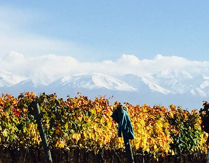 Cuvelier_Los_Andes_Vista_Foto_Ligia_Velasquez_Bienmesabe