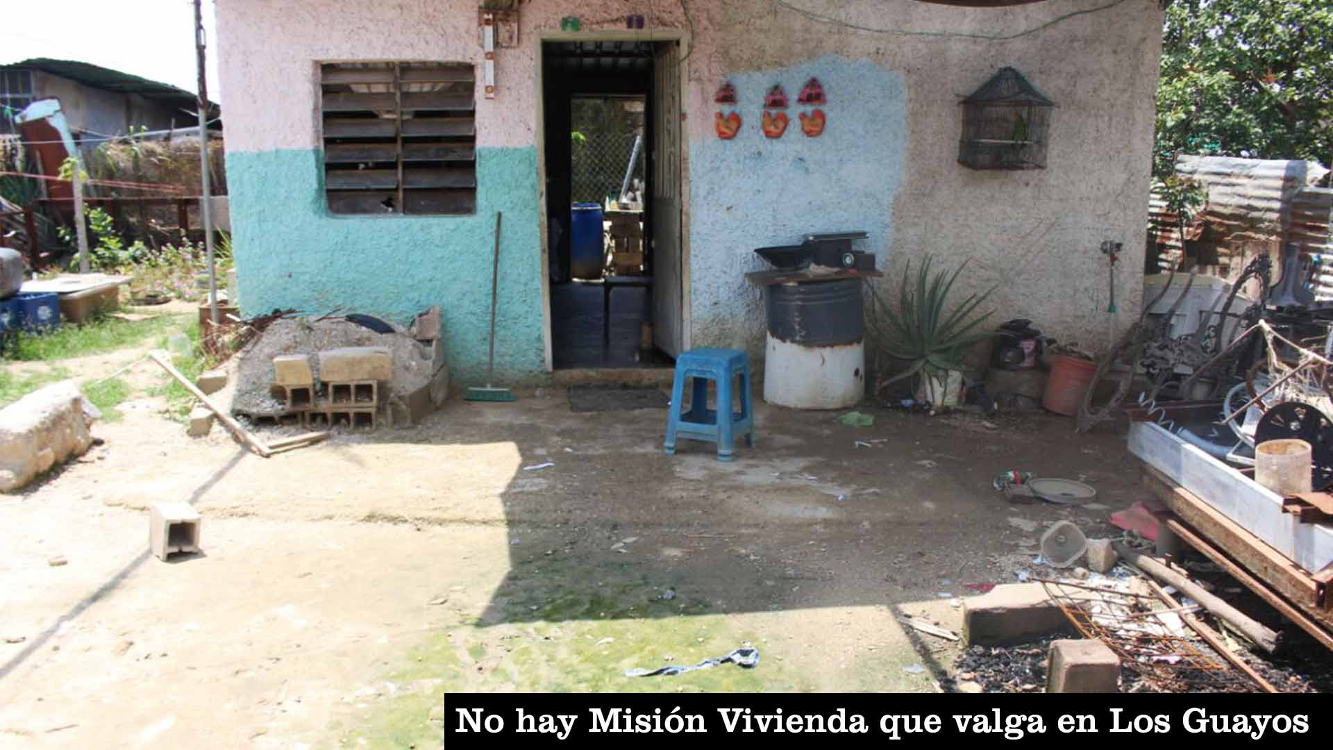 Foto8-1