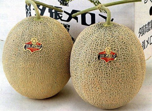 melon, sapporo, japon, subasta