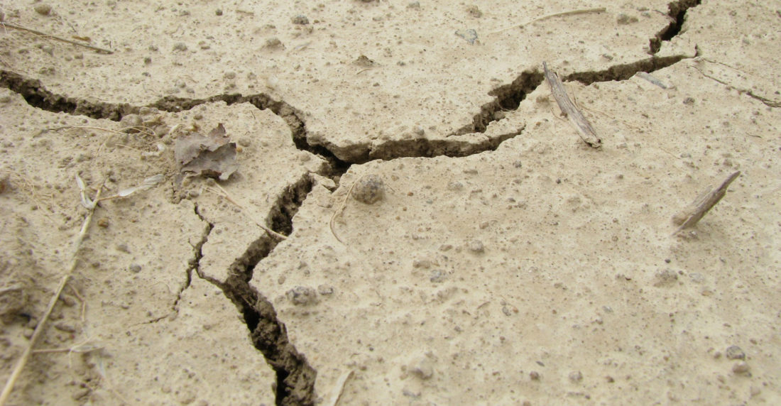 terremoto ecuador
