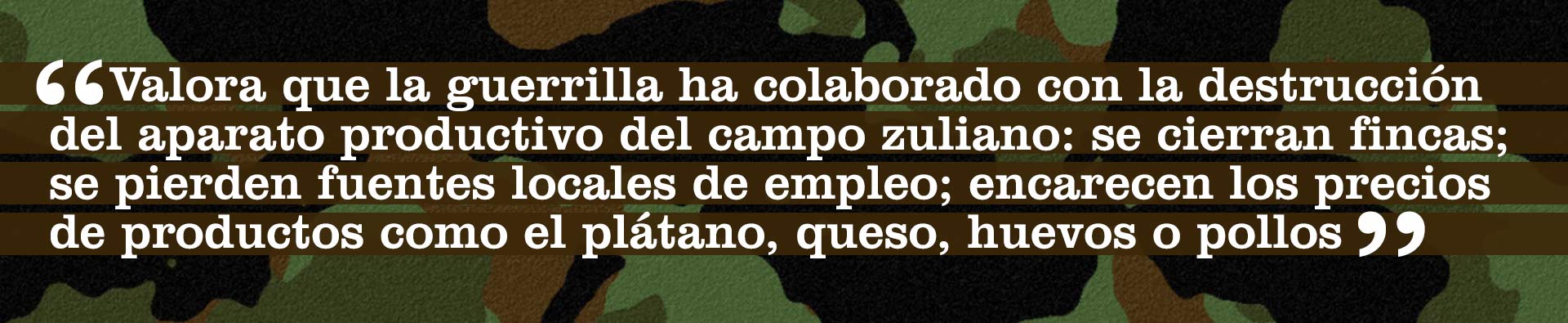 citaguerrilla9