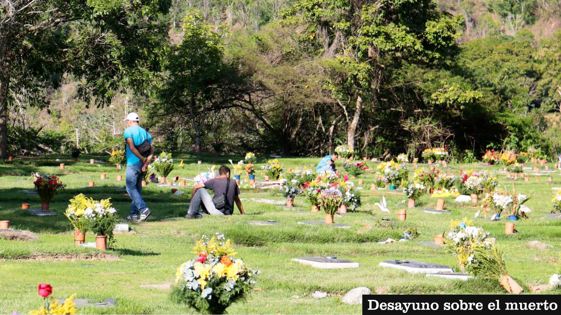fotocementerio2