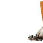 no smoking day