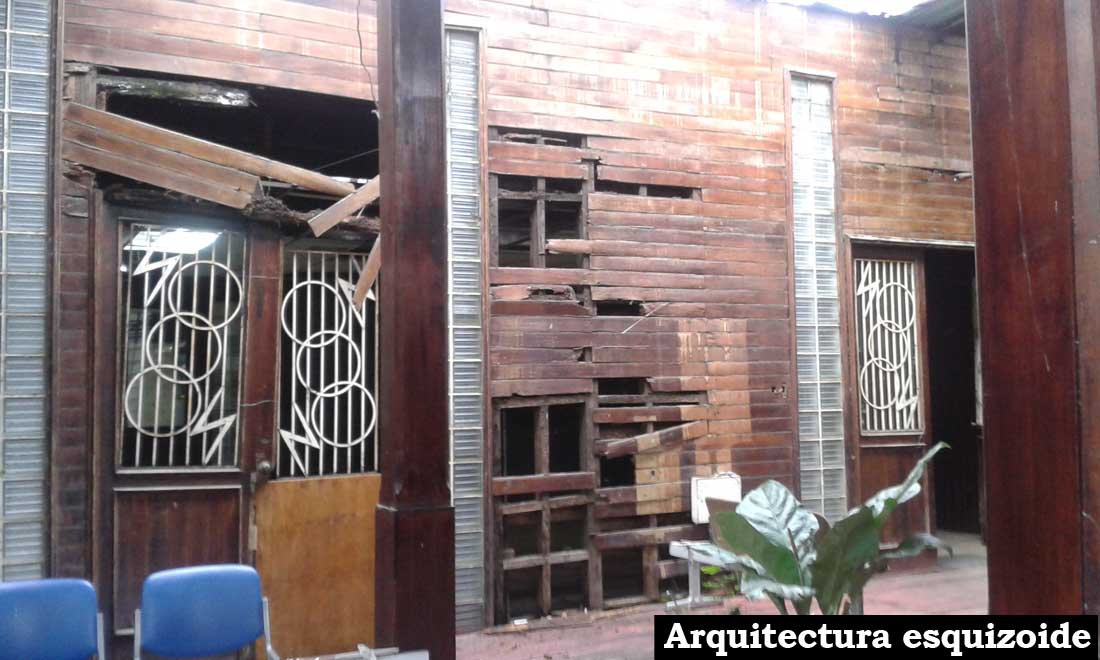 Psiquiatricos Emily Avendano 4