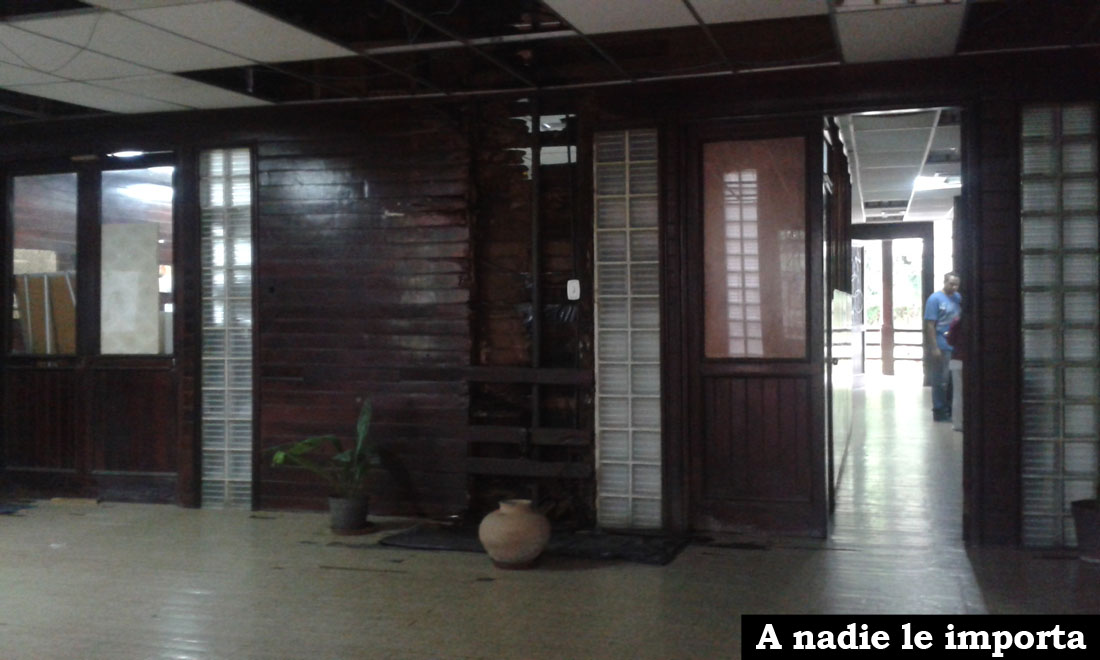 Psiquiatricos Emily Avendano 6