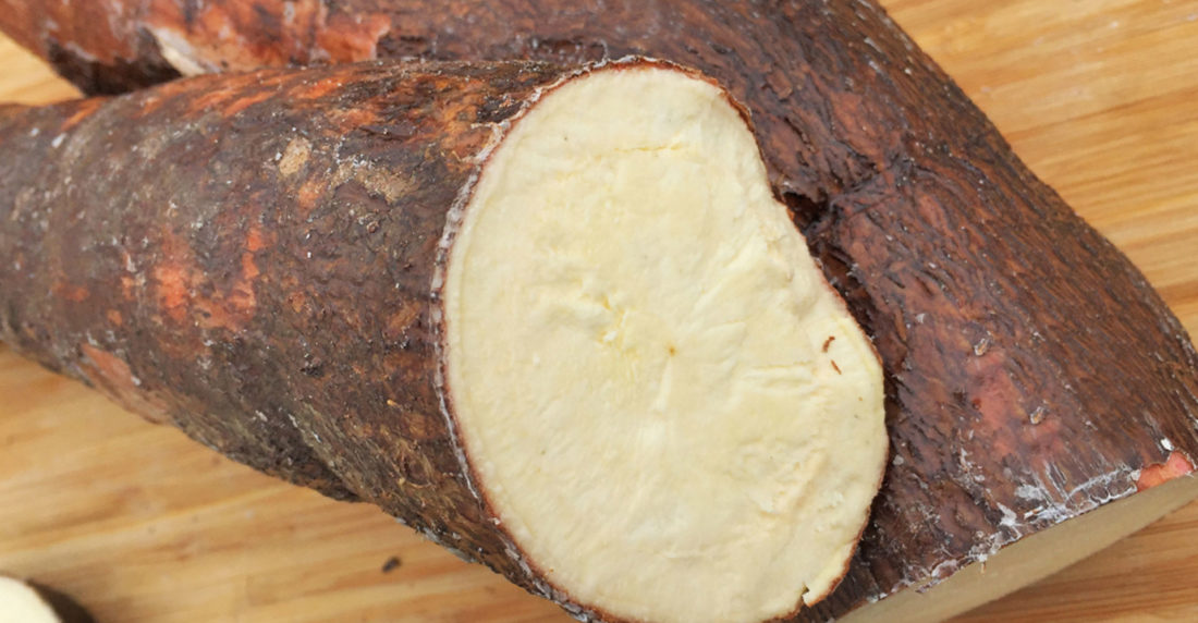 yuca, mentor del sabor, daniel quintero, tubérculo