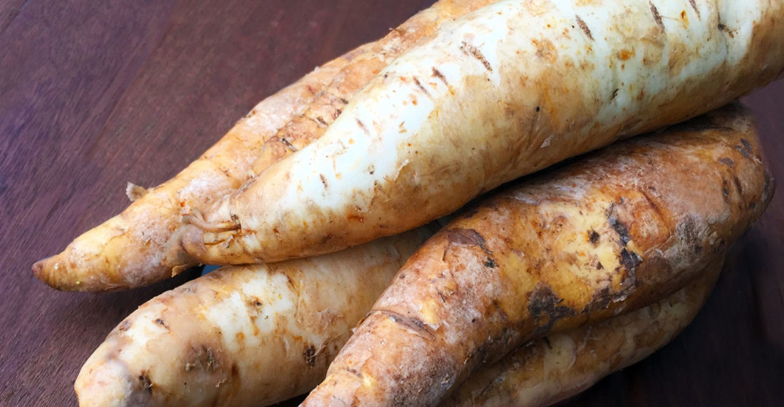 apio, mentor del sabor, daniel quintero