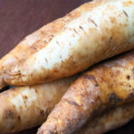 apio, mentor del sabor, daniel quintero