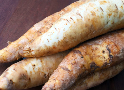 apio, mentor del sabor, daniel quintero