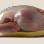 LAVAR EL POLLO