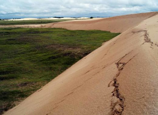 Médanos de la Soledad